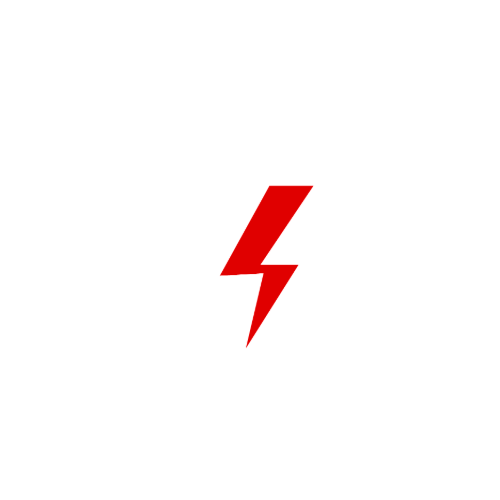 projsafe inc. logo